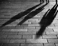 Fraud Investigations